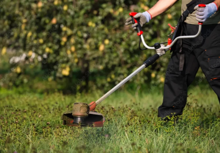 debroussailleuse équipée de fil de la gamme Attila
